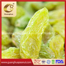 Grade AAA Hot Sale Chinese Raisin 2020 New Crop